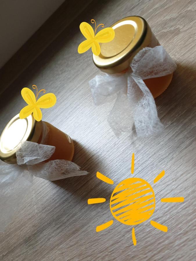 Apartmán Sweet Honey Mieszkanie W Plocku Exteriér fotografie